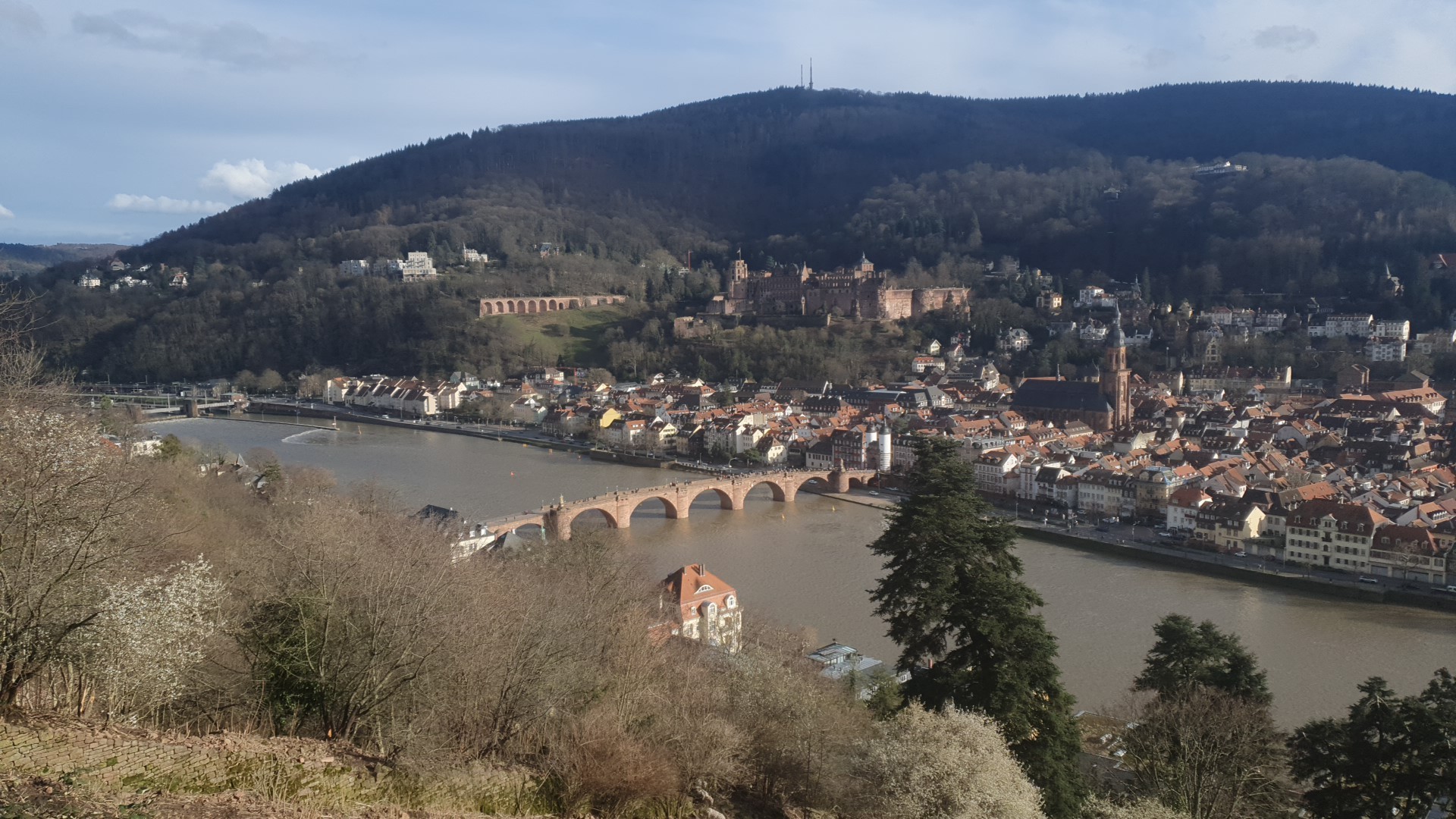 Blick vom Philosophenweg auf den Neckar, die Alte Brücke, die Heidelberger Altstadt und das Schloss