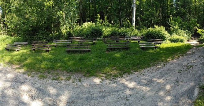 Viele Holzbänke neben einem Waldweg in der Wiese und Bäume dahinter.