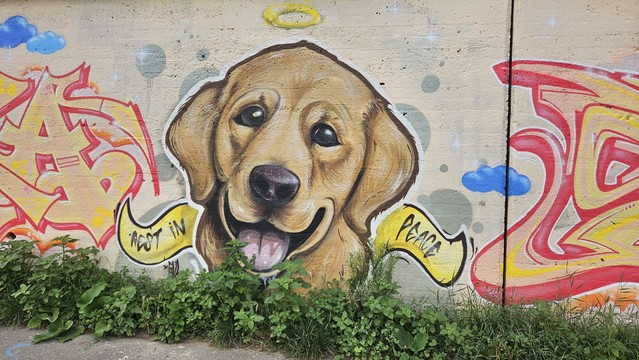 Graffito Hundewelpe
