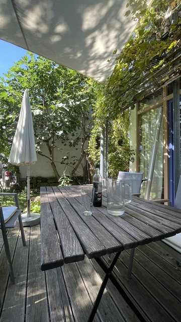 Vorne ein Holztisch mit Getränken, im Hintergrund ein großer Feigenbaum. Rechts eine begrünte Hausfassade mit viel Glas. 