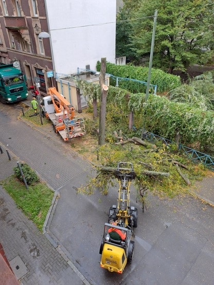 Foto eines Straßenabschnitts aus einer Wohnung im Obergeschoss. Ein Baum wurde bis auf den Stamm zersägt. Ein Lkw und ein Hubfahrzeug, sowie viel Grünschnitt sind zu sehen. Eine Fahrzeug mit einem Greifer schafft Baumreste weg.